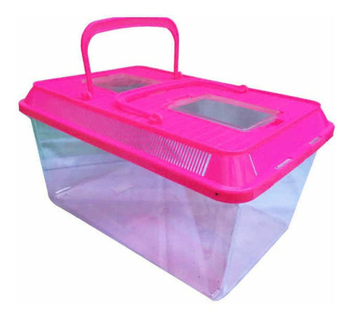 Breeding Box Grande, Caja De Cria Arañas Anfibios