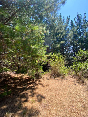 En Venta Excelente Sitio A 5 Minutos De Puertecillo