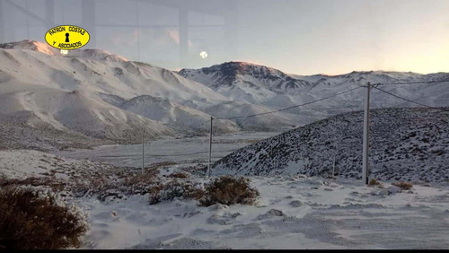 2435ml-fraccion 53 Ha Los Molles - Malargue_mendoza