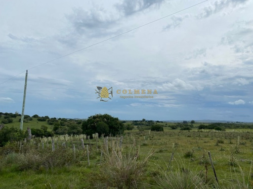 Campo En Garzon - Ideal Para Uso De Descanso - Consulte!!!!- Ref: 3606