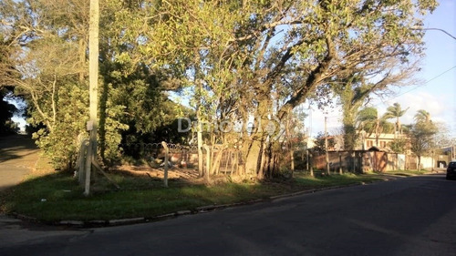Imagem 8 de 13 de Terreno - Ipanema - Ref: 21166 - V-21166