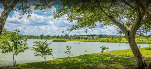 Imagem 10 de 11 de Terreno À Venda Em Centro - Te029345