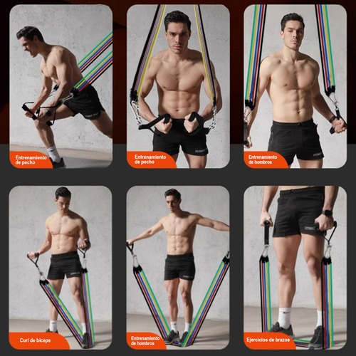 Bandas Elásticas Set De 5 Bandas De Resistencia Para Fitness Fit Body Bandas De Resistencia Ejercicio Ligas De Resistencia Liga Elastica Ligas Ejercicio Ejercicios Con Ligas De Resistencia Hoovoo