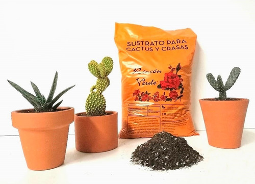 Sustrato Cactus Suculentas 5dm Rincon Verde Terrarios Jardin