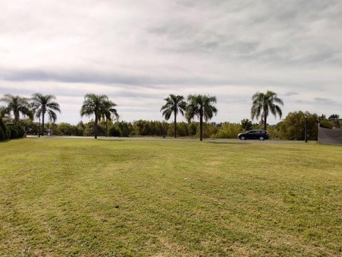 Imagen 7 de 7 de Lote En El Solar De Victoria - 1.100 M2 Con Todos Los Servicios Y Bajada Al Rio !