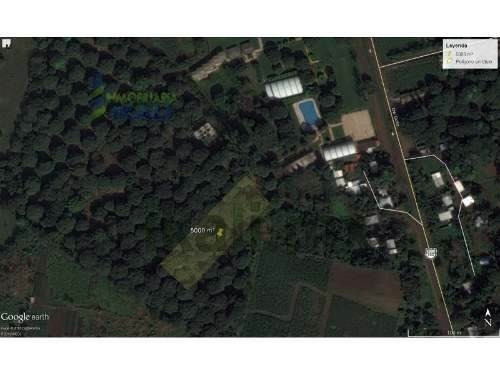Imagen 10 de 11 de Terreno En Venta Carr. Costera Del Golfo Km. 149.5 Catemaco Veracruz 5000 M². Puede Fraccionarse Dependiendo De Las Necesidades Del Interesado,el Precio Por Metro Cuadrado Es De $500.00 Pesos. Está U