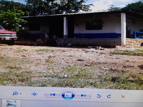 Imagen 10 de 14 de En Venta Finca En San Carlos, Cojedes