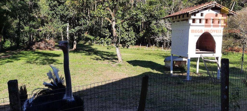 Imagem 26 de 29 de Chácara Com 5 Dormitórios À Venda, 20000 M² Por R$ 700.000,00 - Estrada Teagem - Pedro De Toledo/sp - Ch0168