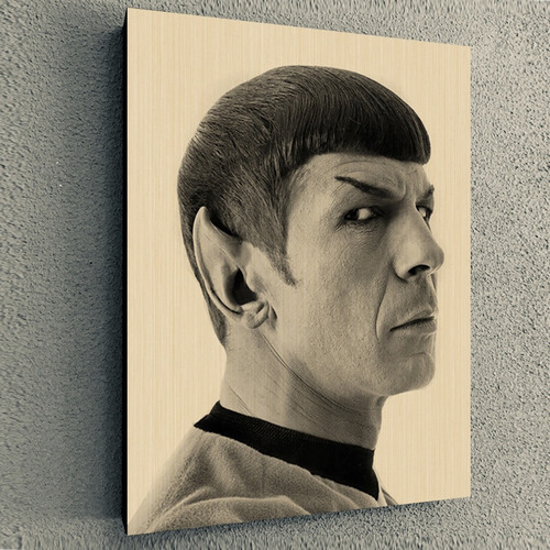 Cuadro De Serie Star Trek Spock Portrait 30x40x4cm