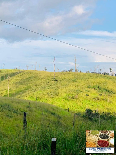 Imagem 3 de 6 de Fazenda À Venda Em Pacajá - Pa - De 365 Alqueirões (dupla Aptidão) - 1671