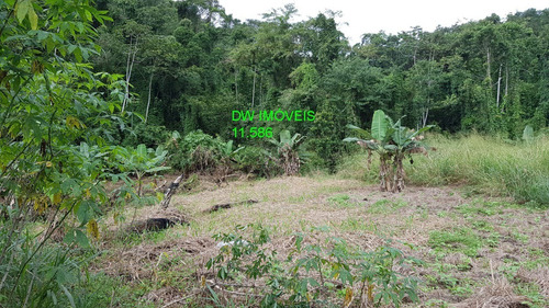 Imagem 10 de 30 de Sitio Juquiá / Ac/imóvel Campinas /ac/auto/ref:04838