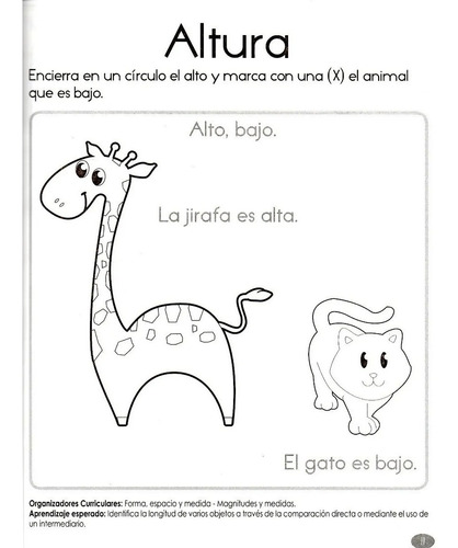 Mis Matemáticas 1ro De Preescolar Con Actividades Y Dibujos