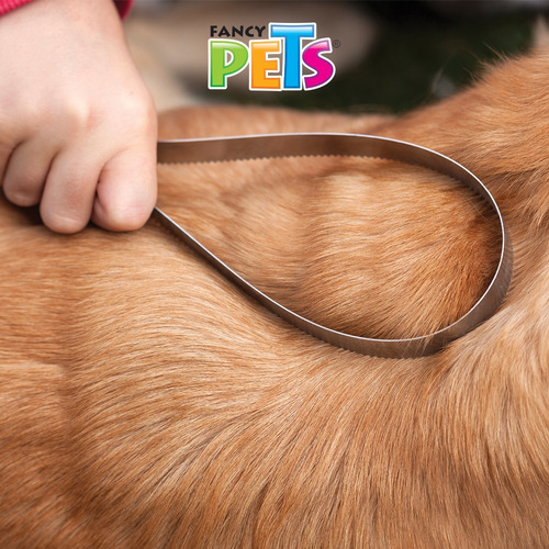 Cepillo Para Mascota Fancy Pets Mptsfancuchillamuda Color