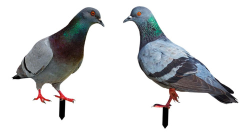 2 Estatuas De Palomas, Estacas De Jardín, Figuritas De