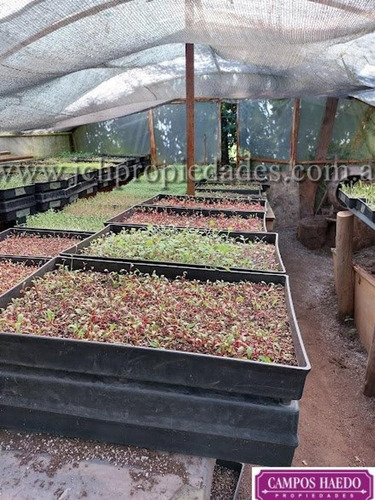 Imagen 8 de 12 de Fondo De Comercio Brotes Y Micro Vegetales Gastronómicos