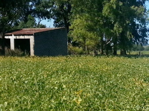 Imagen 5 de 23 de Oportunidad Campo En Zavalla