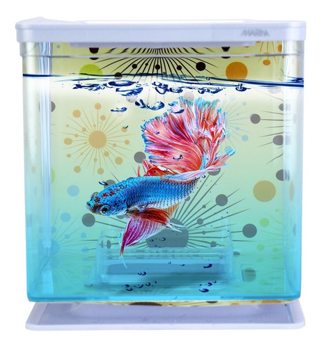 Imagen 1 de 5 de Mini Pecera Pez Beta Chica Acuario Bettera Marina 2 Litros