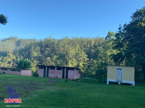 Imagem 18 de 23 de Chácara Com 35.000 M² Com 3 Casas/ Lago E Nascente À Venda Em Embu Guaçu/ São Lourenço Da Serra - Ch01031 - 34651874