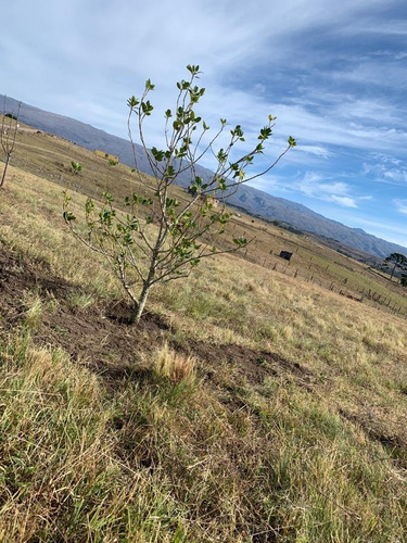 Imagen 2 de 7 de Hermoso Lote En Las Sierras De Córdoba - Barrio De Campo