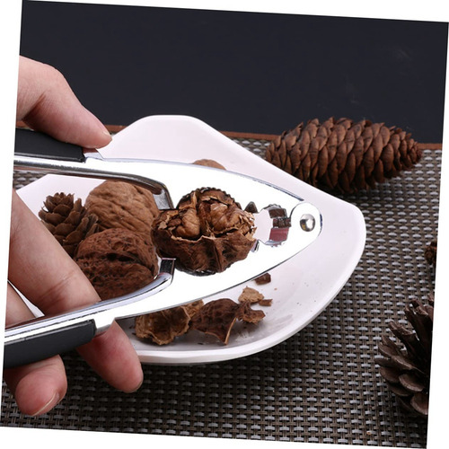 Nozes Com Casca De Noz, Biscoitos De Castanha, Aço Inoxidáve