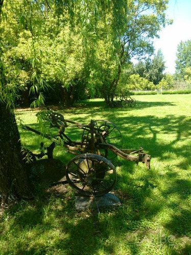Imagen 25 de 30 de Venta-campo-pilar -ruta 28