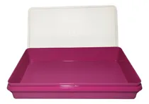 Comprar Tupper Box Rectangular 1.5 L Tupperware Libre Bpa