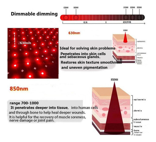 // Cinturón De Terapia De Luz Roja Con Infrarrojos Cercanos