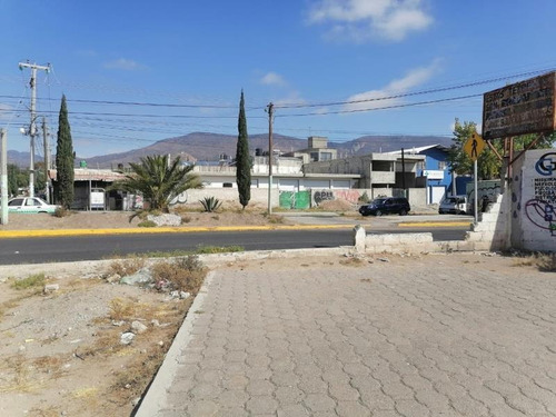 Imagen 11 de 12 de Terreno En Venta Santa Julia