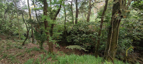 Terreno Enventa En Piedra De Agua En Jilotepec Veracruz