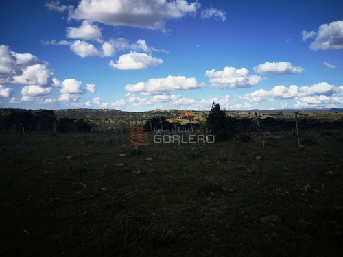Campo Ganadero En Venta En Maldonado, A 60 Km De Punta Del Este- Ref: 26296