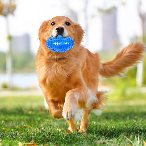 Pelotas De Juguete Para Perros Chirriantes Bolas Con Puntas