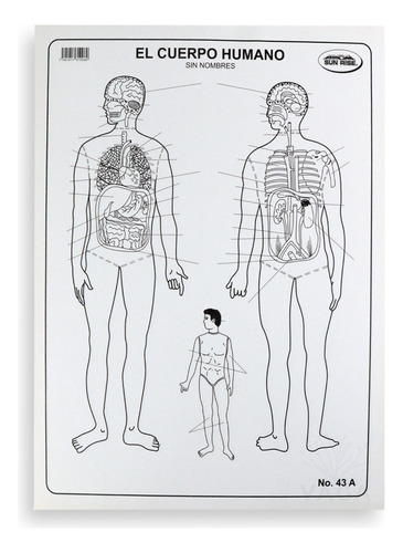 Block Esquema Del Cuerpo Humano 100 Piezas Blanco Y Negro