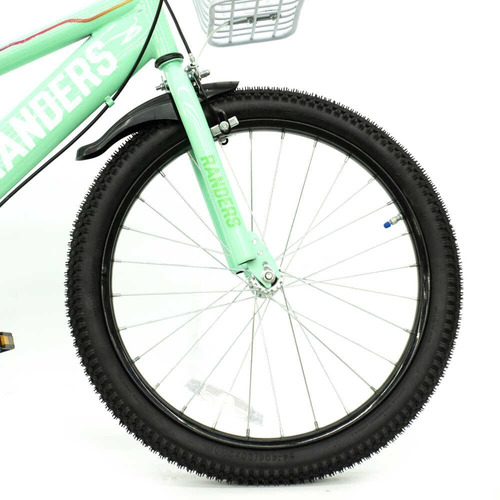Bicicleta De Paseo R20 Niños Infantil Bke-221 Indha Randers Color Verde
