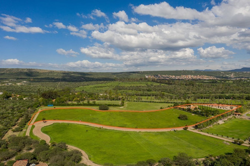 Imagen 11 de 30 de Terreno En Venta Dentro Rancho Exclusivo En San Miguel De Al