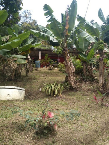 Imagem 2 de 19 de Chácara À Venda Em Juquitiba - 270 - 32982810