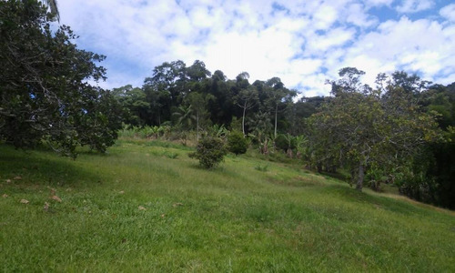Imagem 11 de 30 de Chácara Com 4 Dormitórios À Venda, 190575 M² Por R$ 900.000,00 - Marta - Morretes/pr - Ch0137