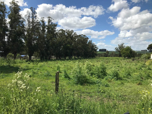 Charca/quinta Sobre Ruta 226 Km 21