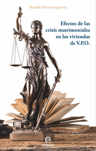 Libro Efectos De Las Crisis Matrimoniales En Las Vivienda...