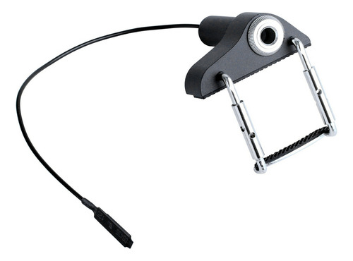 Captura Electrónica Para Órgano Cv-20 Instant Authenti