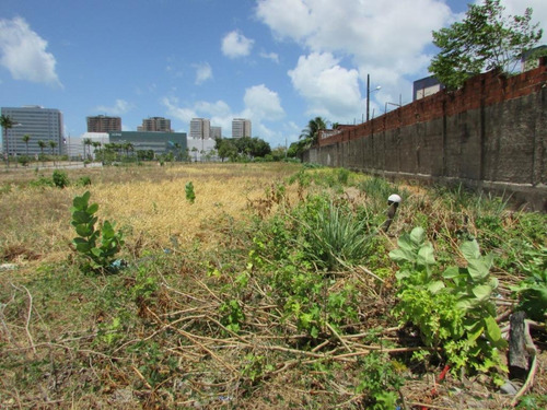 Imagem 7 de 15 de Terreno À Venda, 1640 M² Por R$ 2.200.000,00 - São Gerardo - Fortaleza/ce - Te0131