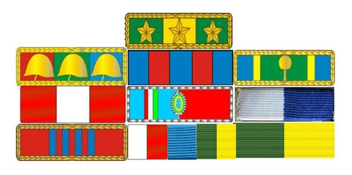 Imagem 1 de 2 de Placa Com 10 Barretas De Medalhas - Fixação Por Imã