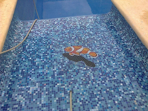 Imagen 8 de 9 de Figura Mosaico Pez Payaso De 35 Cms.con Sombra Para Alberca