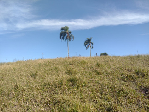 Imagem 16 de 28 de G30- Vendo Terrenos De 1000m² Para Chacara/sitio Com Apenas 15.000 De Entrada Não Perca Essa Oportunidade