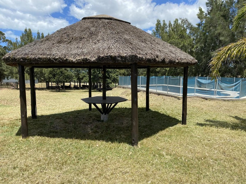 Imagen 4 de 14 de Chacra A La Venta Sobre Ruta Interbalnearia Excelente Ubicación 36há O Fracción