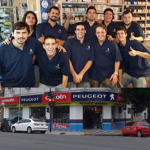 Imagen 7 de 10 de Correa De Poly V Para Toda La Linea Citroen