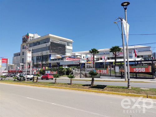 Parcela 5.470 M2 En Venta En Olmué. Luz, Agua Y Rol Propio.