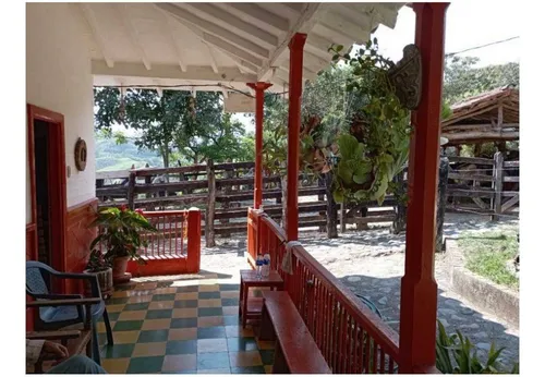 Vendo Finca De 30 Cuadras En Damasco Para Ganadería Cerca La Pintada