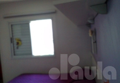 Imagem 5 de 14 de Belísssimo Apartamento Bairro Casa Branca - 64m² - 1033-7629