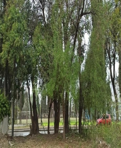 Terreno En Venta - 520mts2 - Río Cuarto