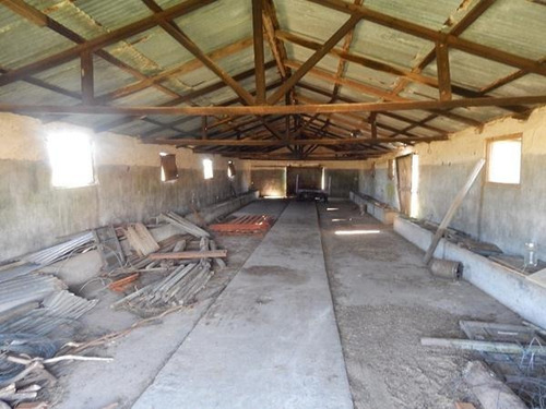 Campo En Venta En Canelones, 102 Hectáreas.